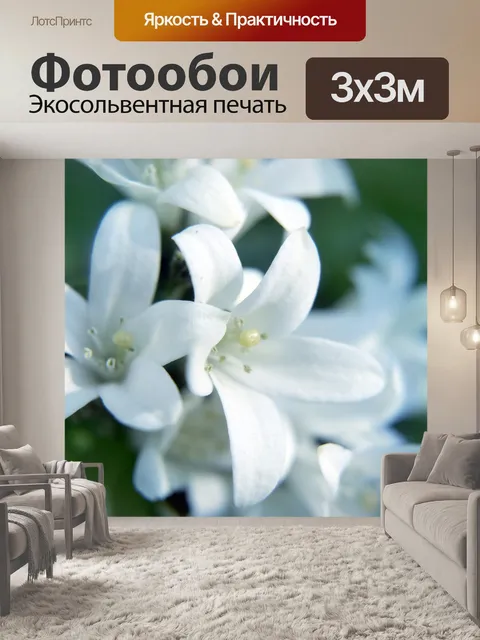 Фотообои Белые цветы 3