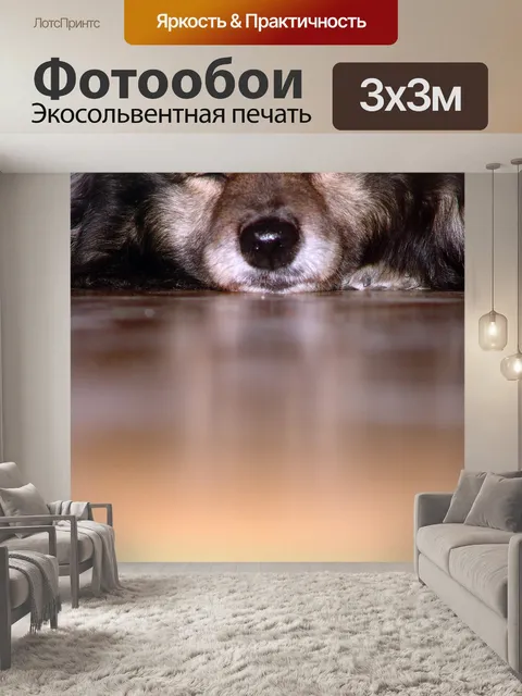 Фотообои Собака