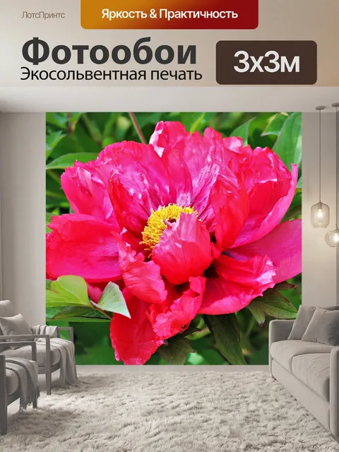 Фотообои Розовый