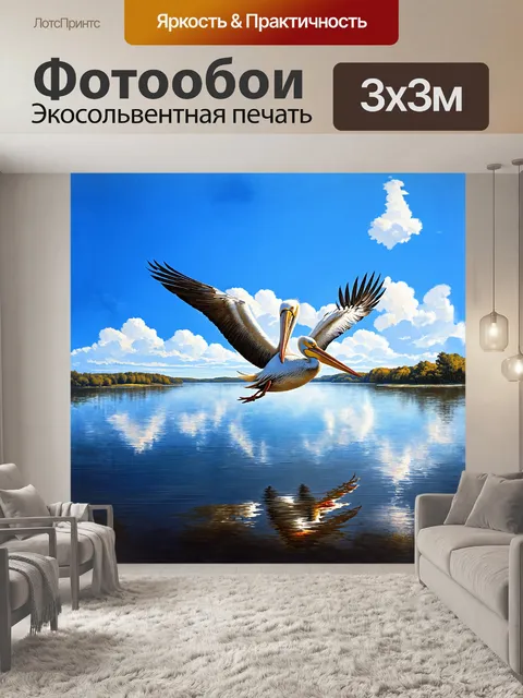Фотообои баклан, величественно парящий над поверхностью спокойного озера, отражающий яркое голубое небо и белые…