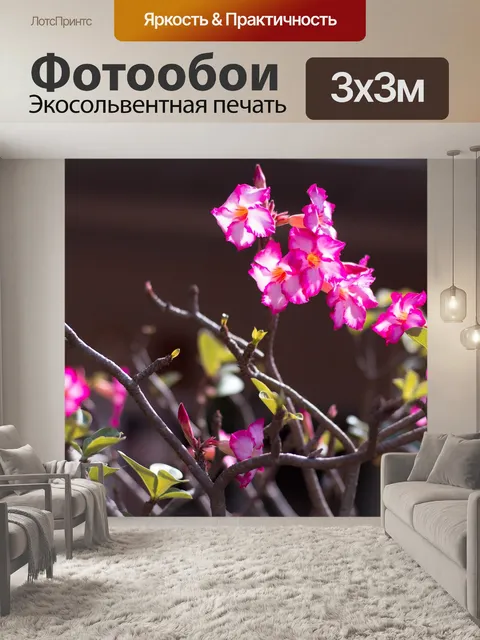 Фотообои Цилиндр алмазный