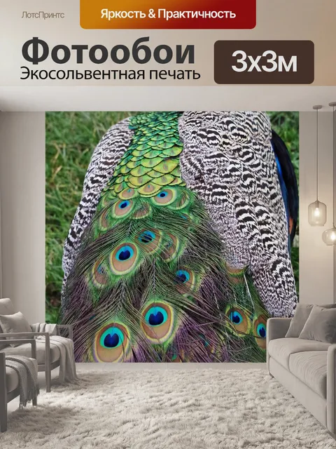 Фотообои Павлин
