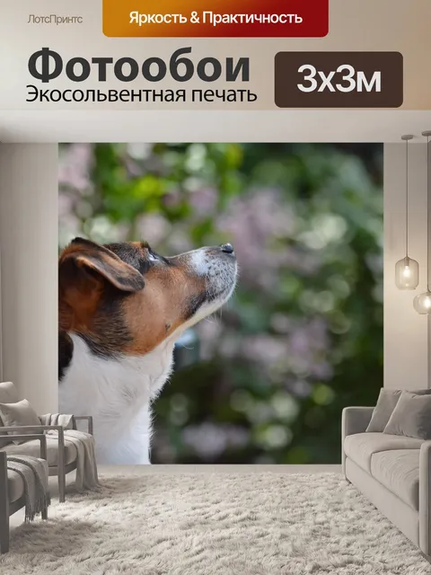 Фотообои Pet