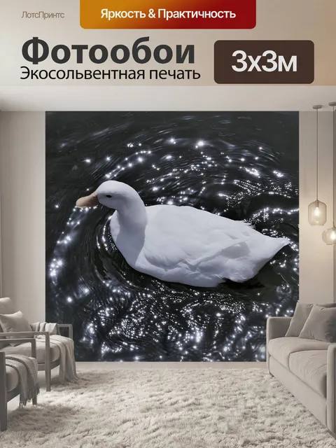Фотообои Белая утка