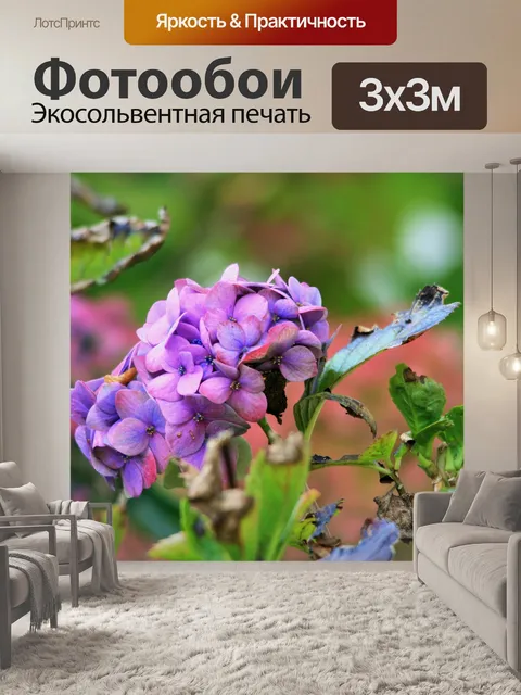 Фотообои Гортензия в конце лета