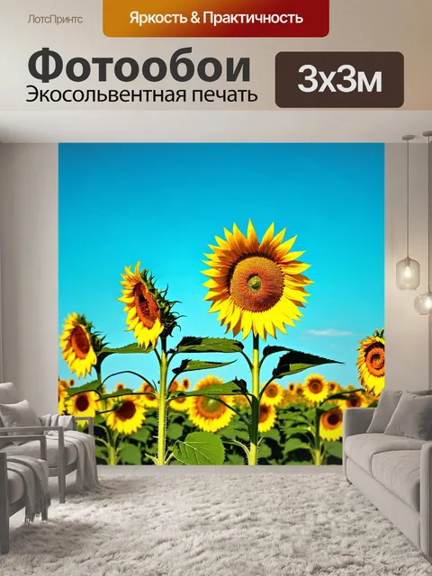 Фотообои цветы, поля с подсолнухами, тянущимися к яркому солнцу, на небесно-голубом фоне