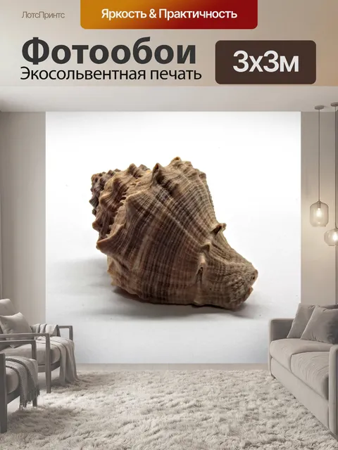 Фотообои Море улитки