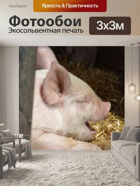Фотообои поросенок зевая