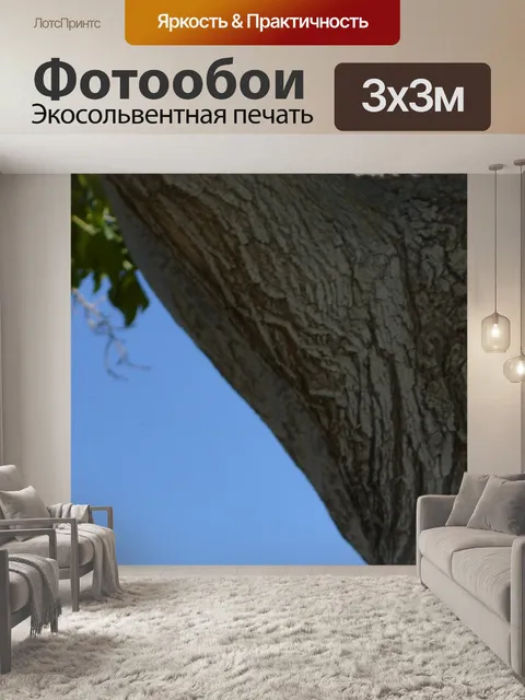 Фотообои Парк ветви дерева фоне природы