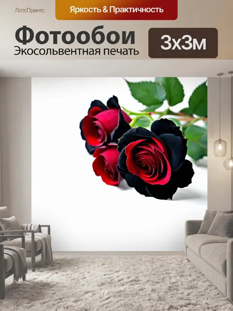 Фотообои розы черного цвета с красными лепестками, создающими контраст и элегантность