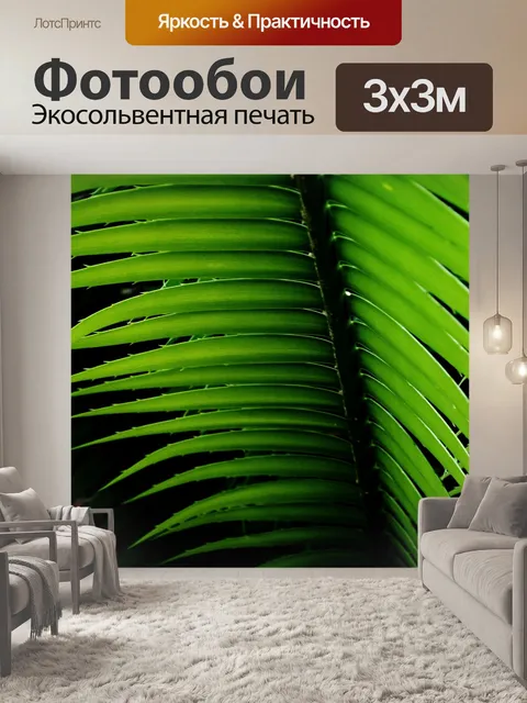 Фотообои Лист пальмы