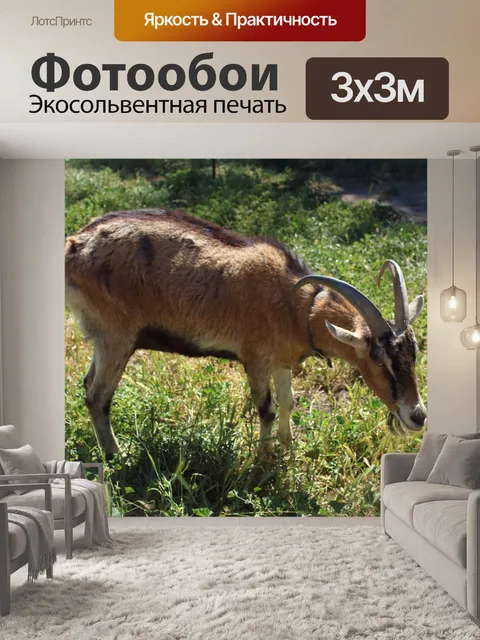 Фотообои Билли