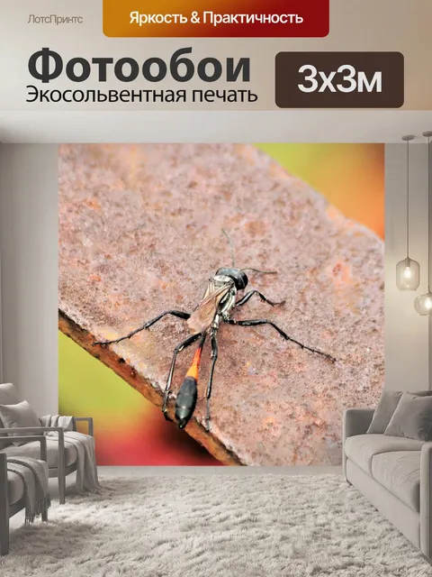 Фотообои Крупный план песчаной осы