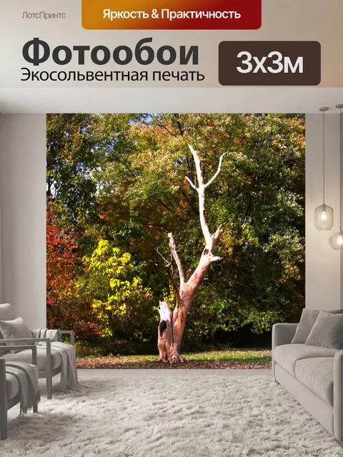 Фотообои мертвое дерево