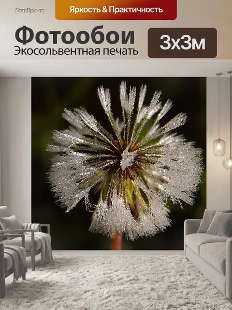 Фотообои Одуванчик