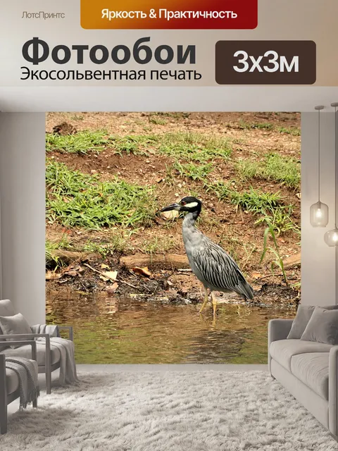 Фотообои Желтая коронованная ночь