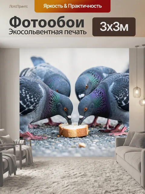 Фотообои Голуби у куска хлеба