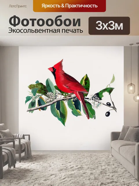 Фотообои Кардинал птица винтаж старый