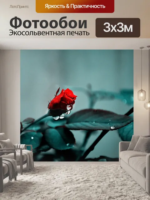 Фотообои Роза