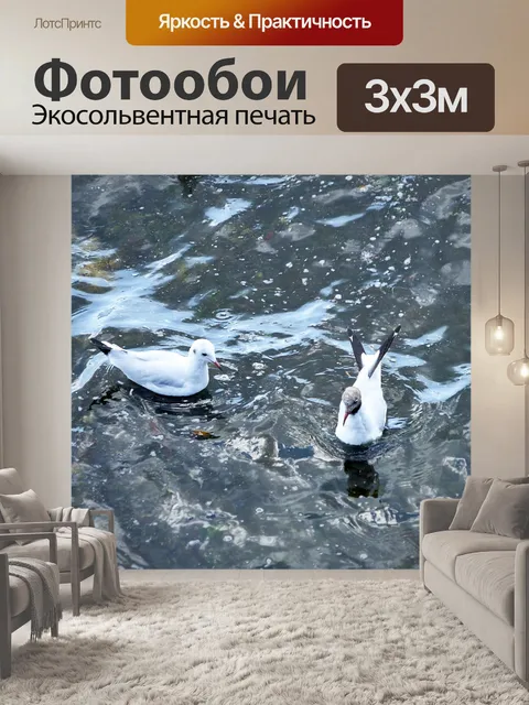 Фотообои Чайки, серфинг на волнах