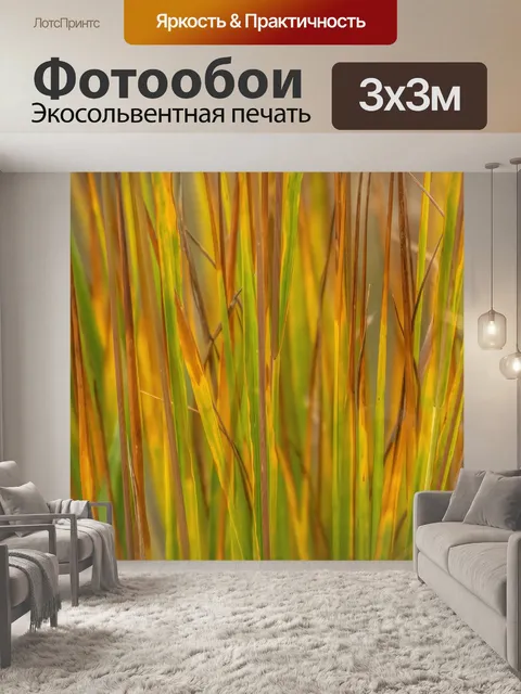 Фотообои Флора