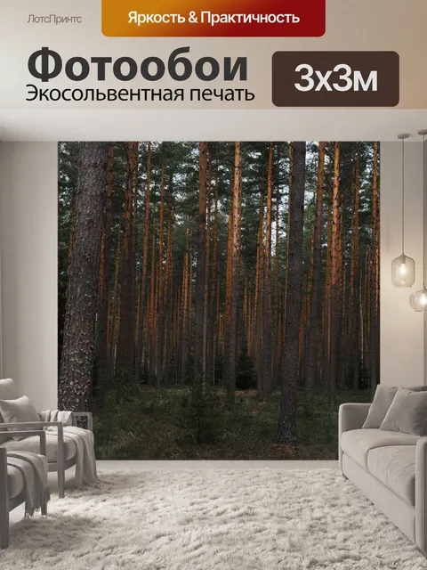 Фотообои Лес