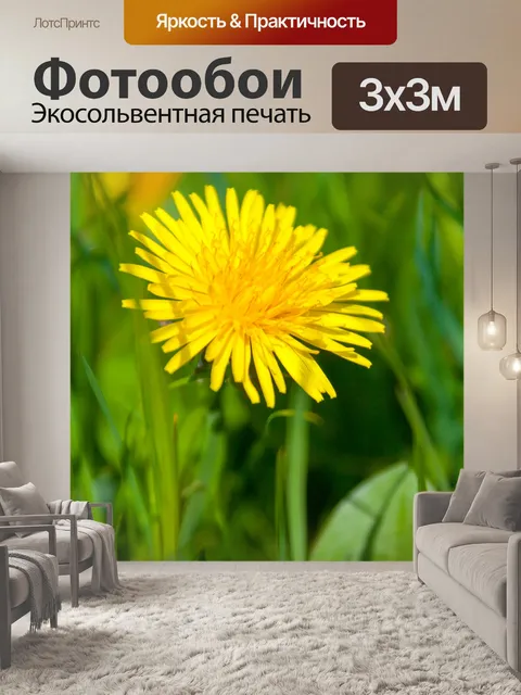 Фотообои жёлтый одуванчик