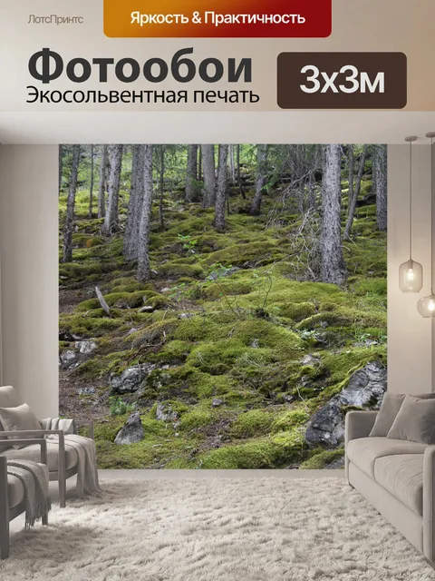 Фотообои Мшистый горный лес