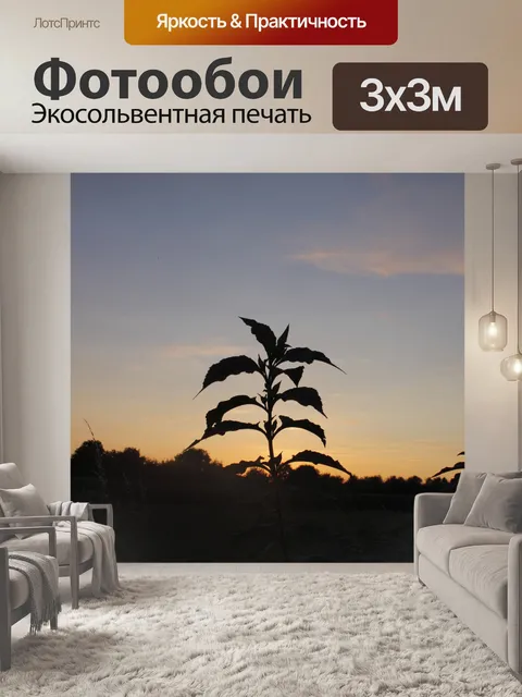 Фотообои Фон