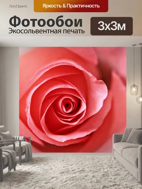 Фотообои Роза