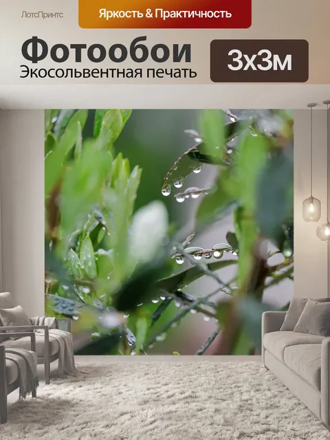 Фотообои Ветка оливы