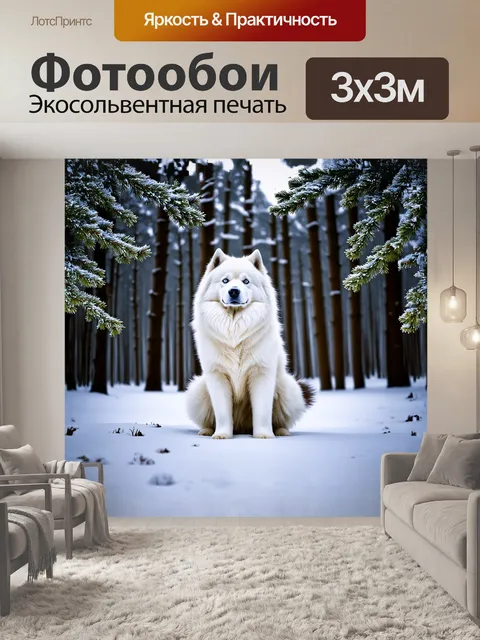 Фотообои самоед, позирующий на фоне зимнего леса, с инеем на ветвях деревьев и мягким заснеженным полом