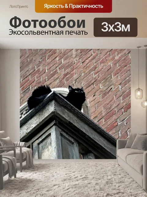 Фотообои Черный кот