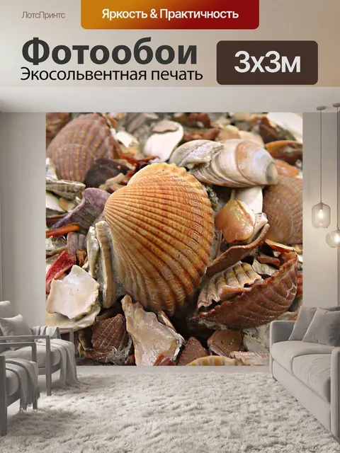 Фотообои Морская ракушка