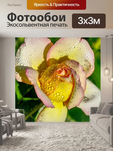 Фотообои Роза