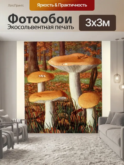 Фотообои Грибы век винтаж старый