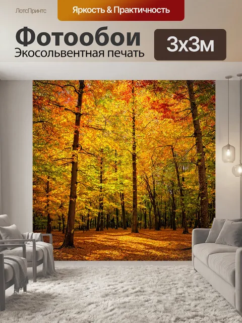 Фотообои деревья в осеннем лесу