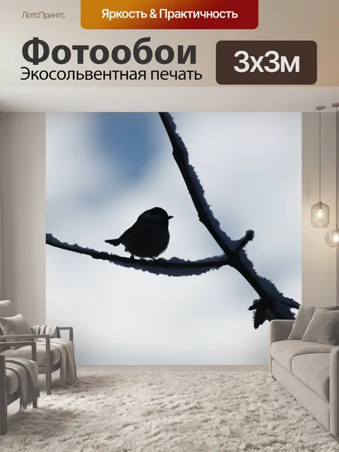 Фотообои Птица