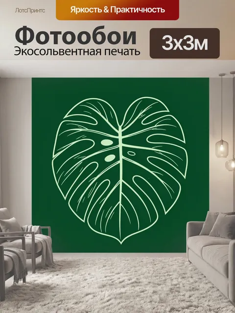 Фотообои Лист монстеры в контурной графике