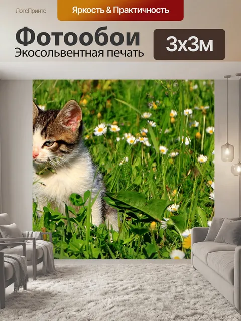 Фотообои Кошки