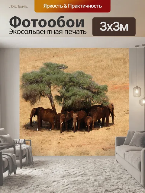 Фотообои Сафари