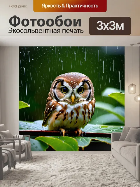Фотообои сова, укрывающаяся под своим крылом от дождя, сидя на мокром листе, с каплями воды, сверкающими на её перьях