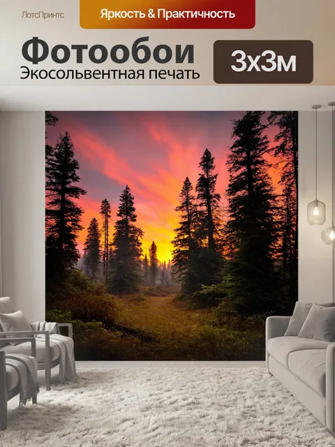 Фотообои лес с вечерним закатом, оранжевые и розовые оттенки в небе