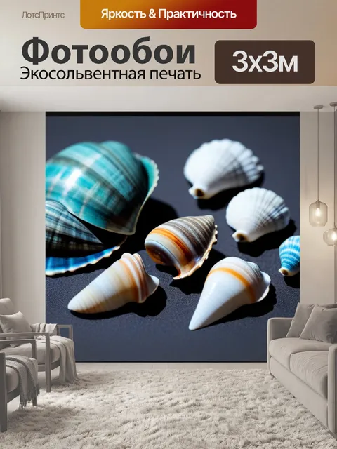 Фотообои составление коллекции ракушек