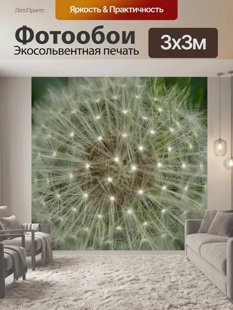 Фотообои Одуванчик