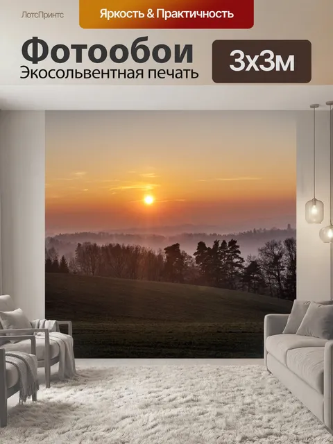 Фотообои Зимний день