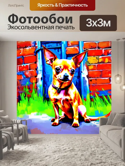 Фотообои изображение чихуахуа