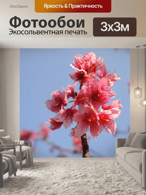 Фотообои Цветение вишни