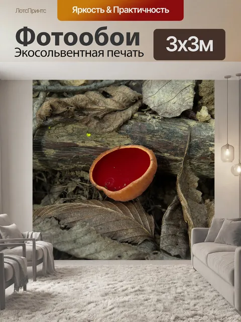 Фотообои Древесина
