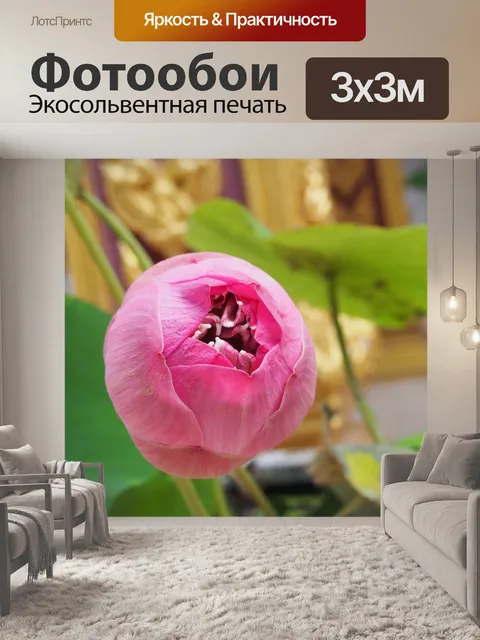 Фотообои Лотос